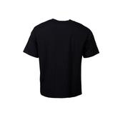 Peak pánské tričko P-ICE