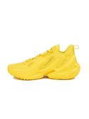 Under Armour CURRY 13 AP